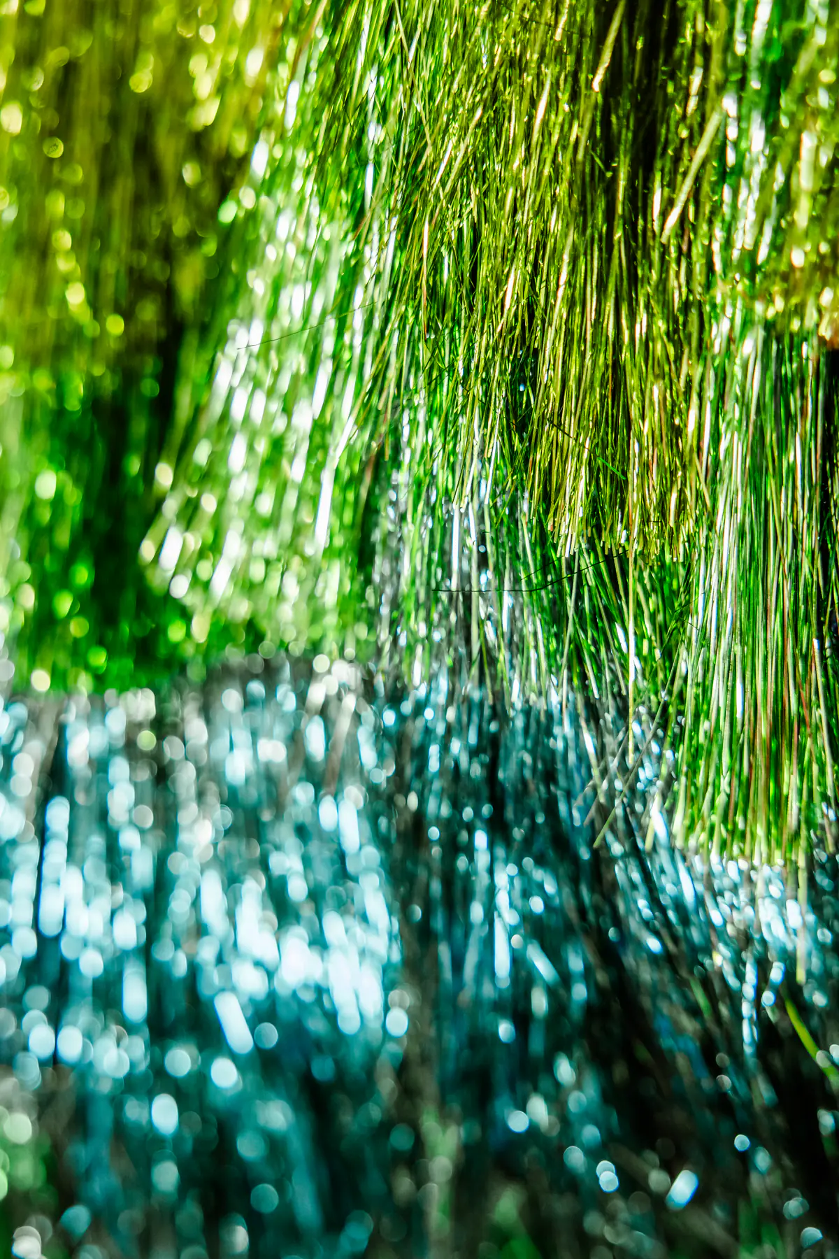A close-up of a fringed jacket, lime-green strands falling into deep teal.